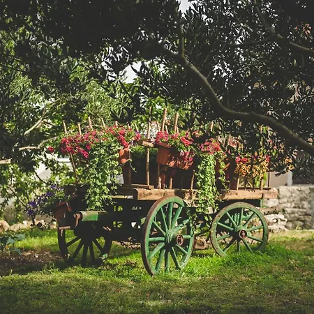 Galija Luxury Guest house Krk Town