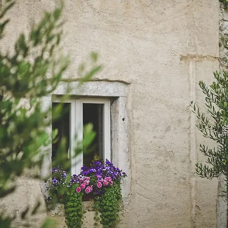 Galija Luxury Πανσιόν