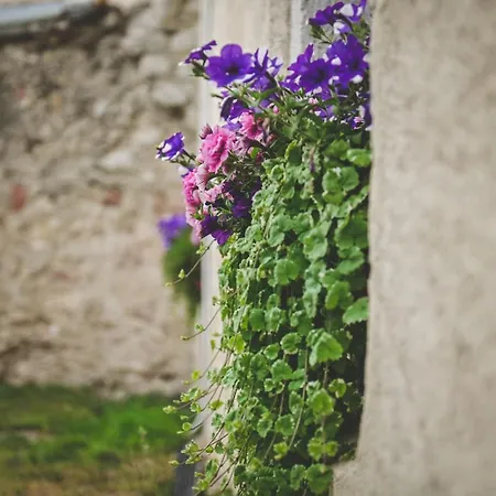 Galija Luxury 4* Krk Town