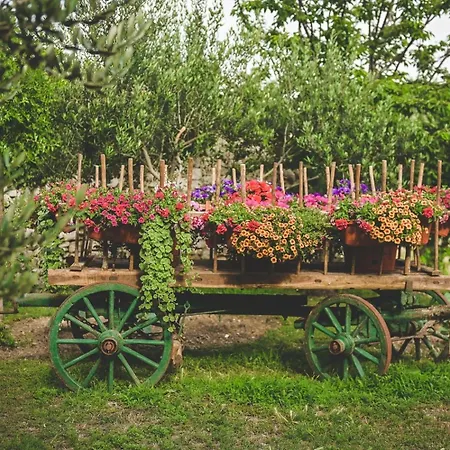 Galija Luxury Guest house Krk Town