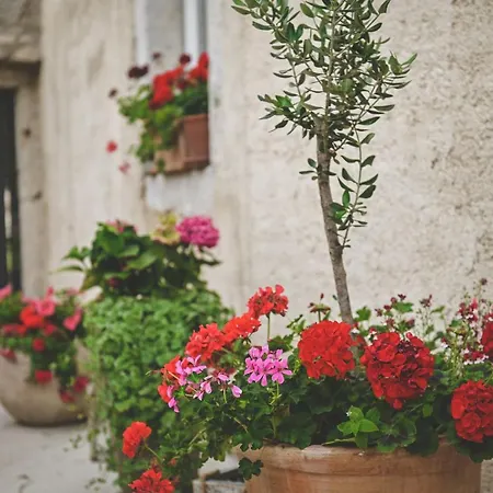 Galija Luxury 4* Krk Town